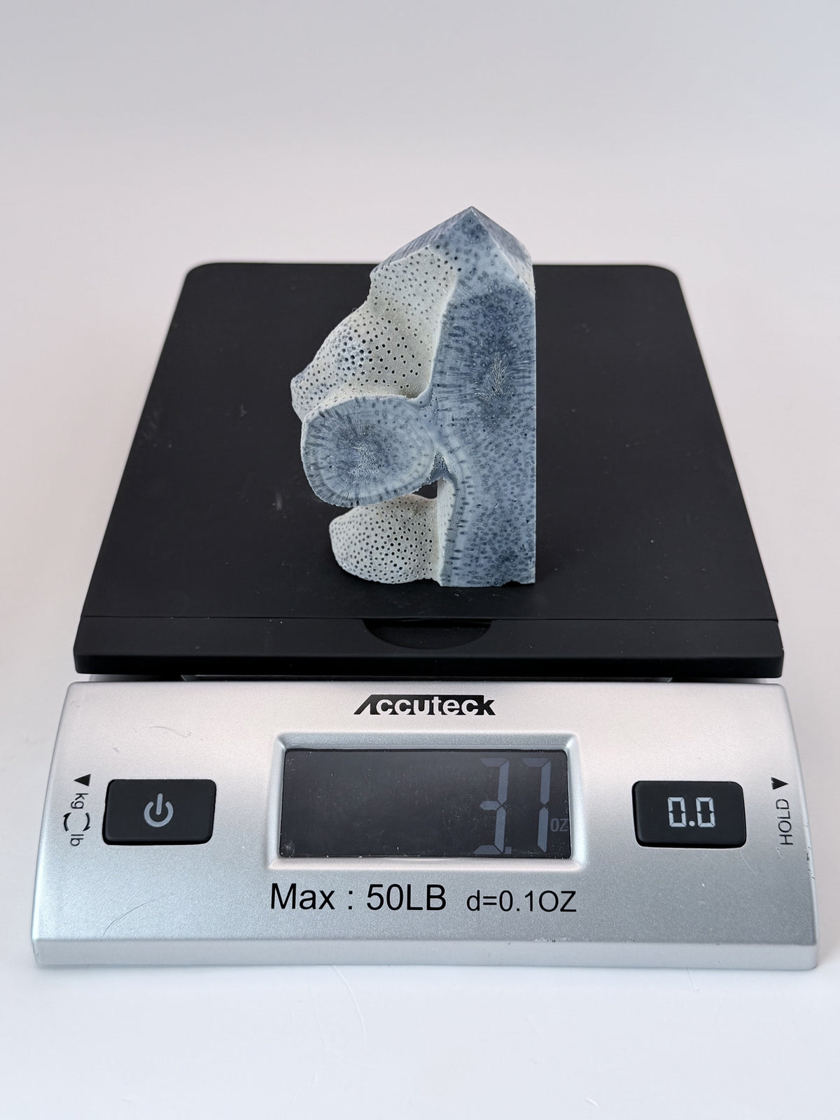 Blue coral tower on a scale reading 3.7 ounces