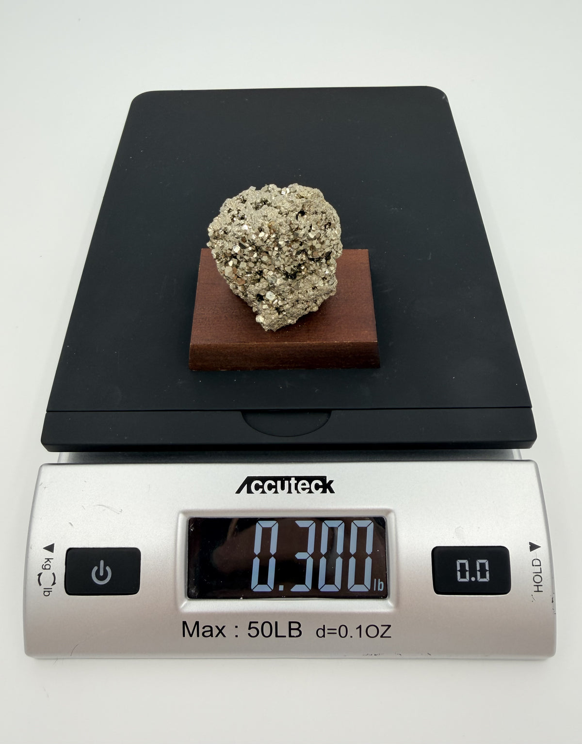 07-scale.jpg