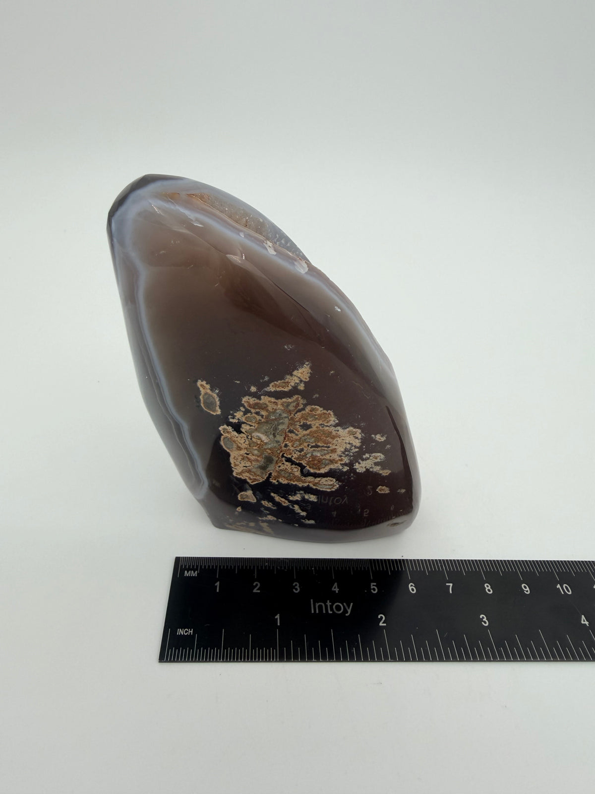 08-ruler-back.jpg
