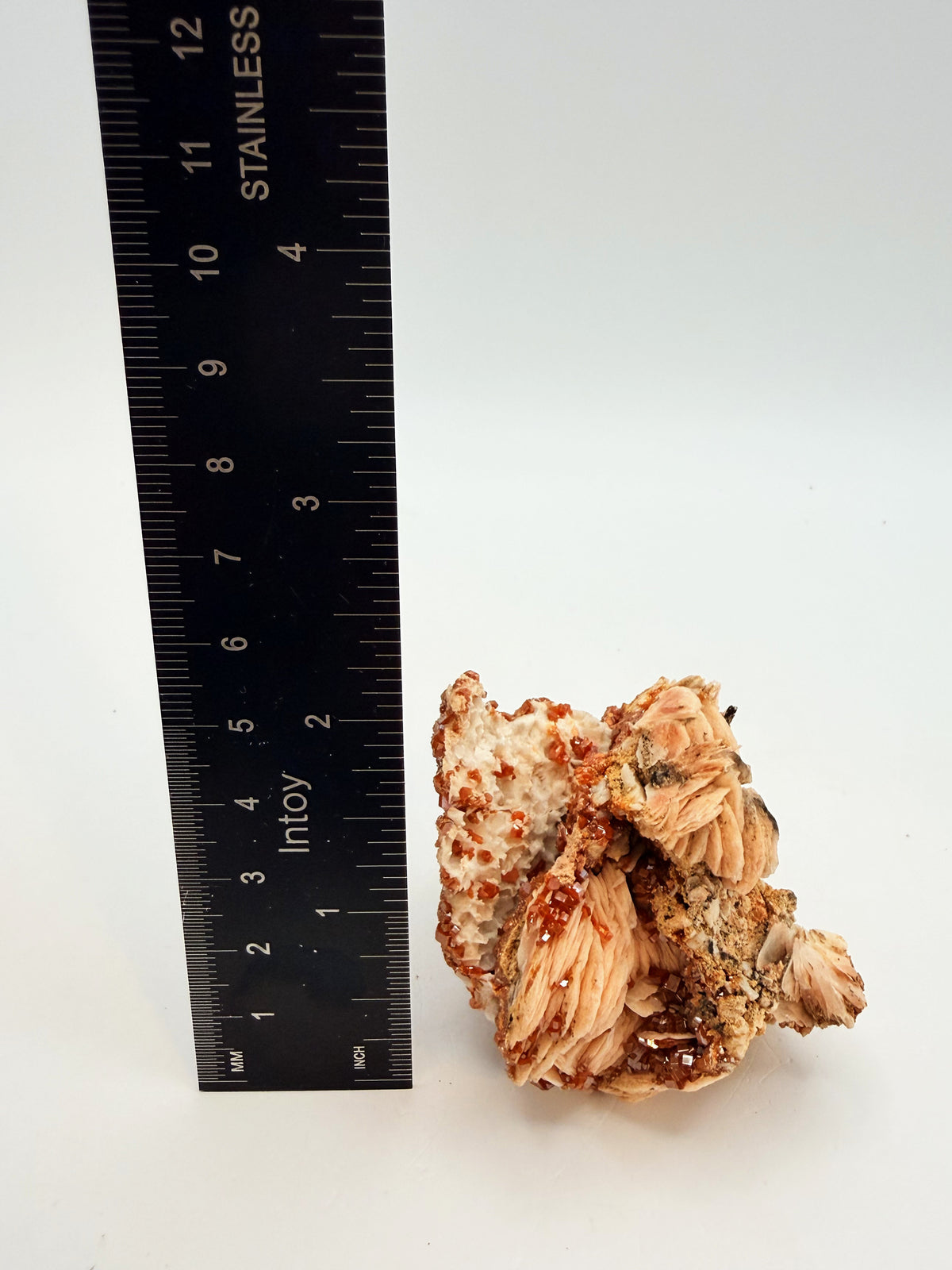 08-ruler-height.jpg