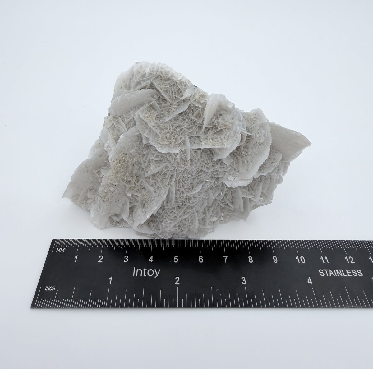 08-ruler-width-r3.jpg