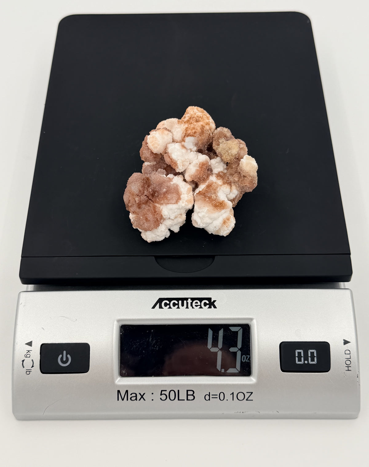 08-scale.jpg