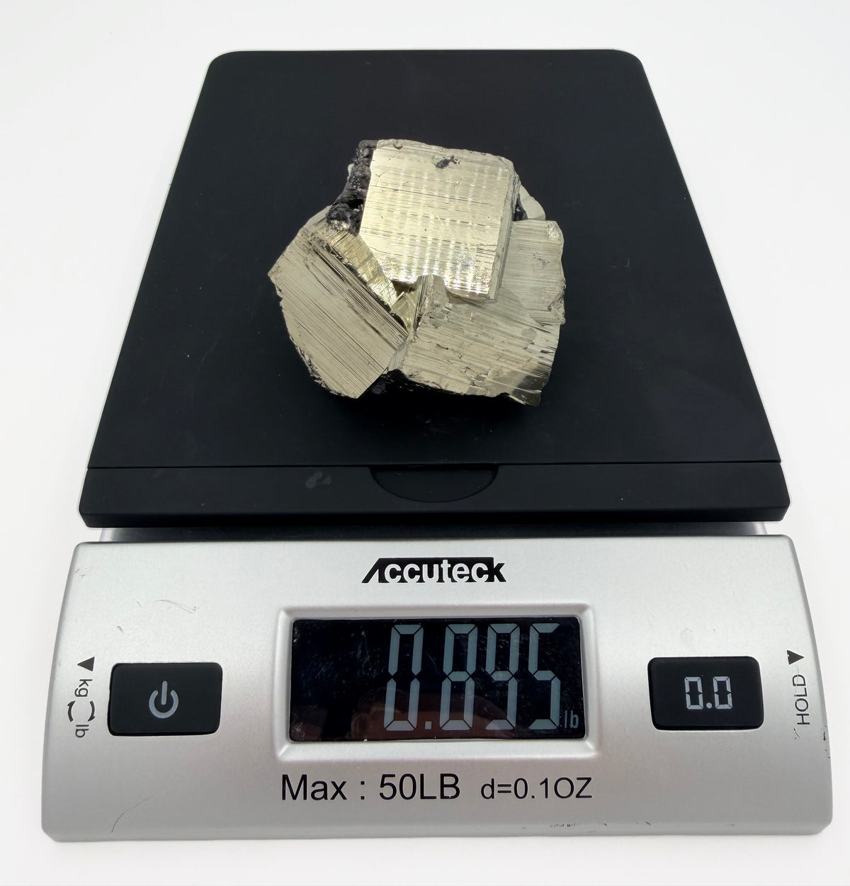 08-scale.jpg