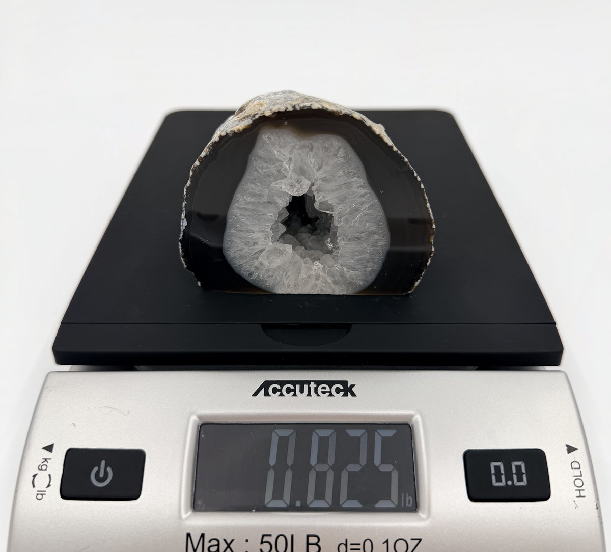 08-scale.jpg