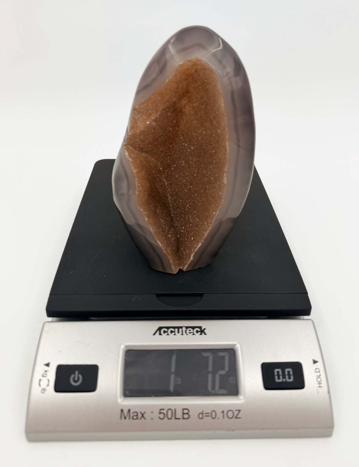 08-scale.jpg