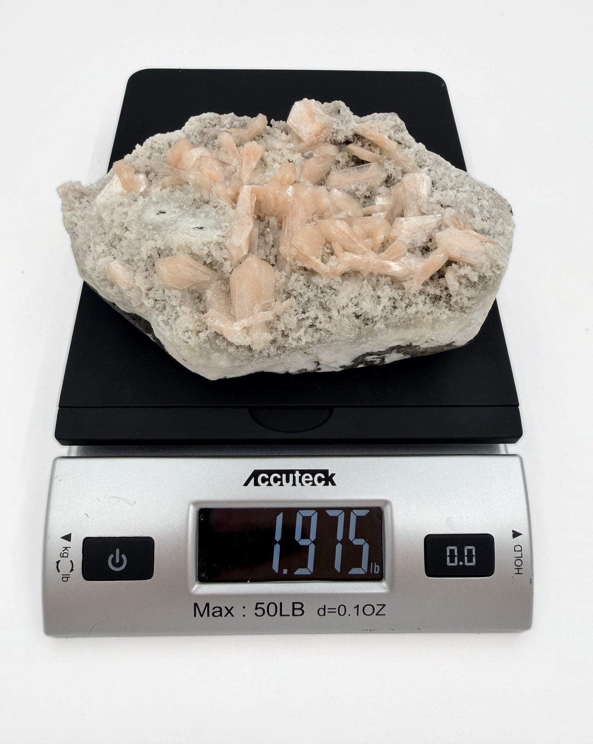 09-scale-r3.jpg