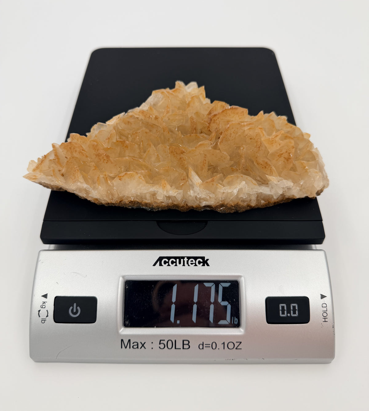 09-scale.jpg