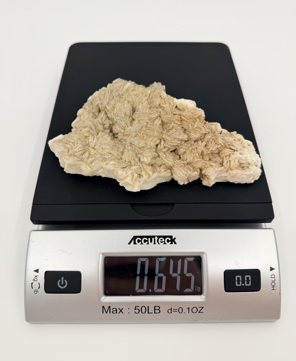 09-scale.jpg