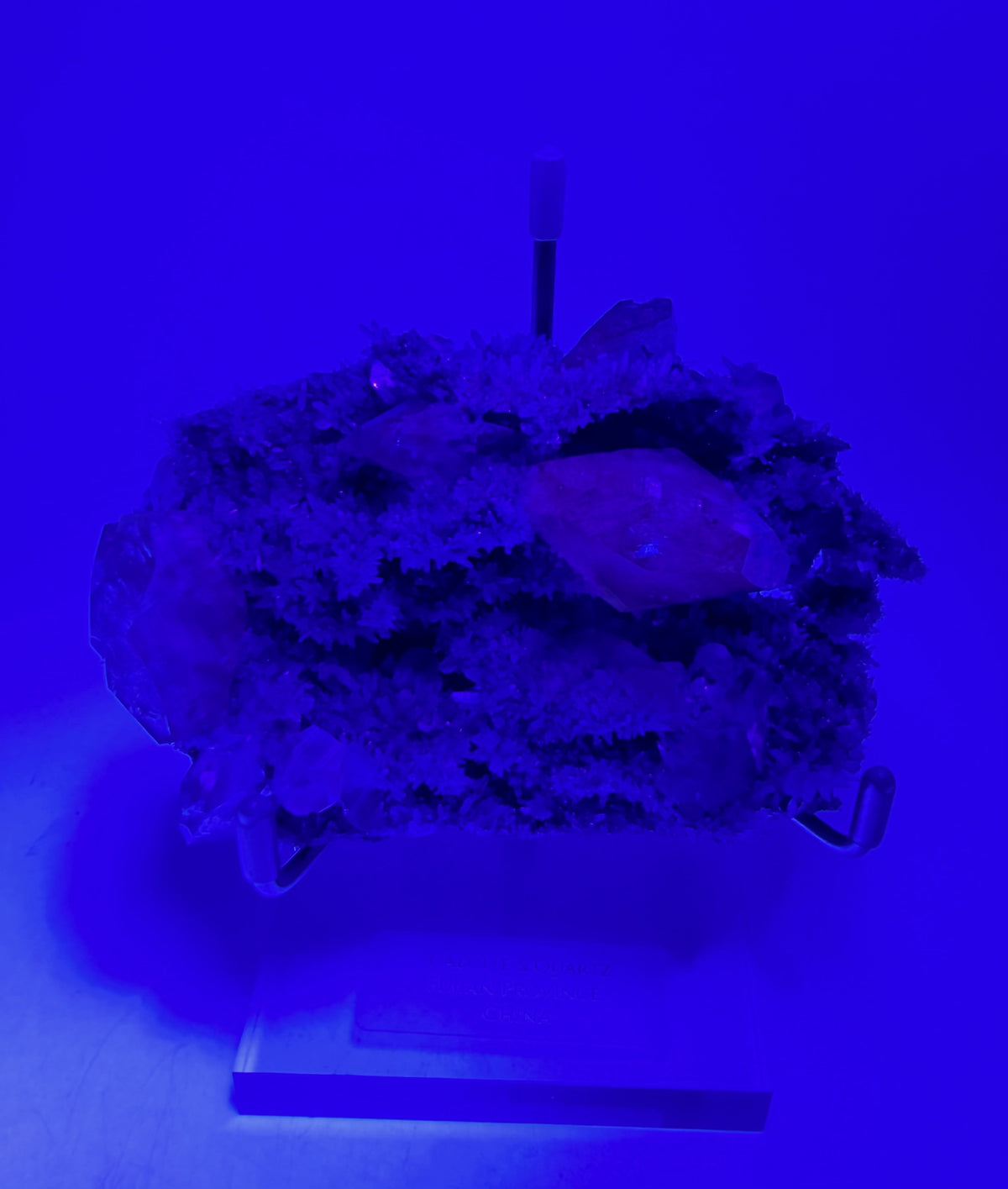 09-uv-fluorescence.jpg
