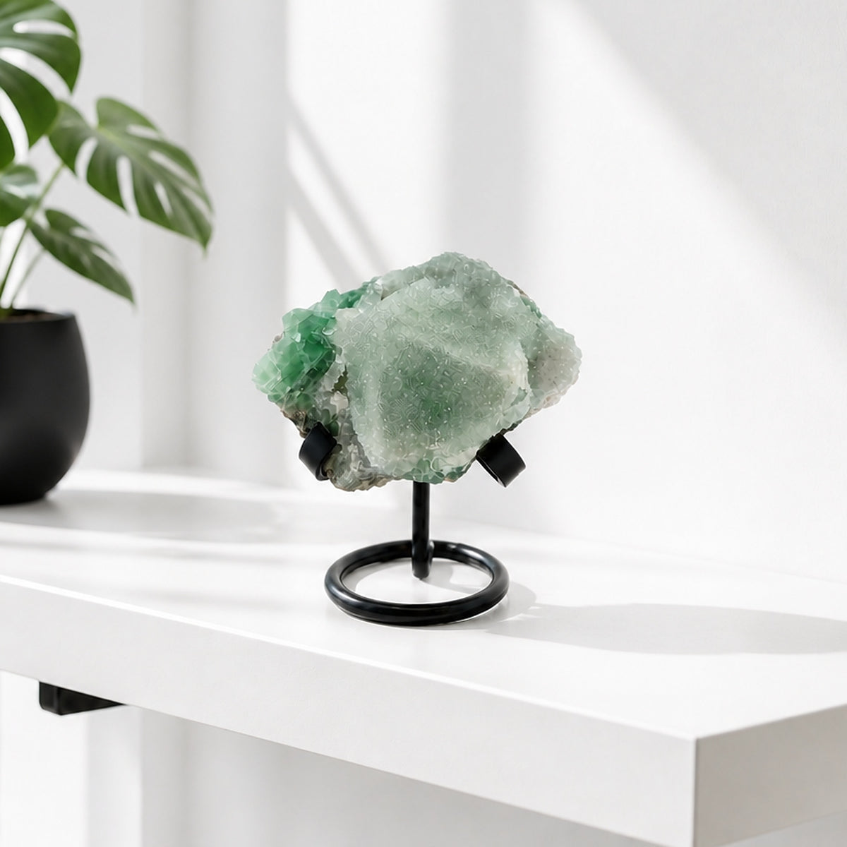 Green fluorite cluster with druzy quartz on a black stand, styled on a white shelf beside a monstera