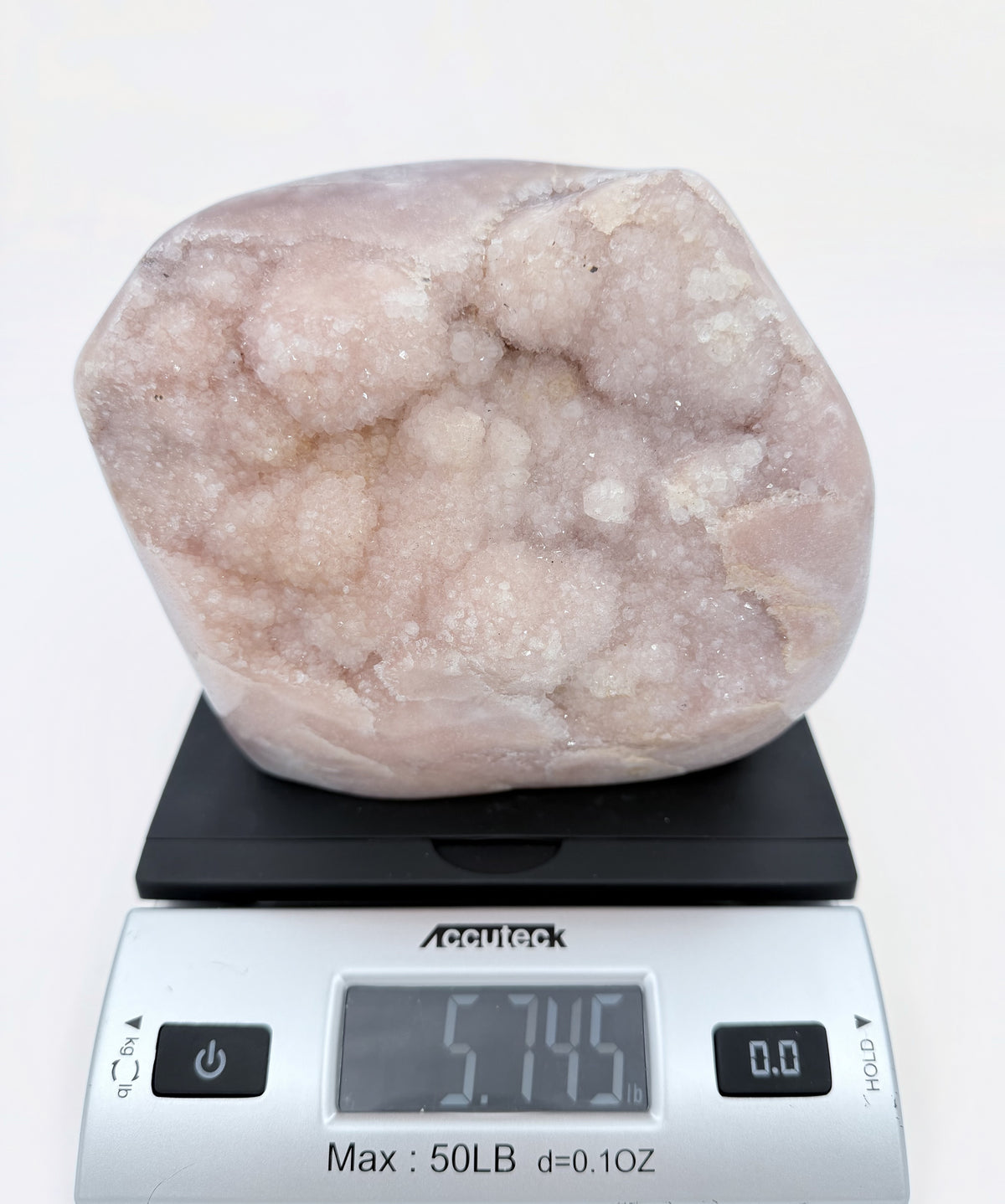 10-scale.jpg