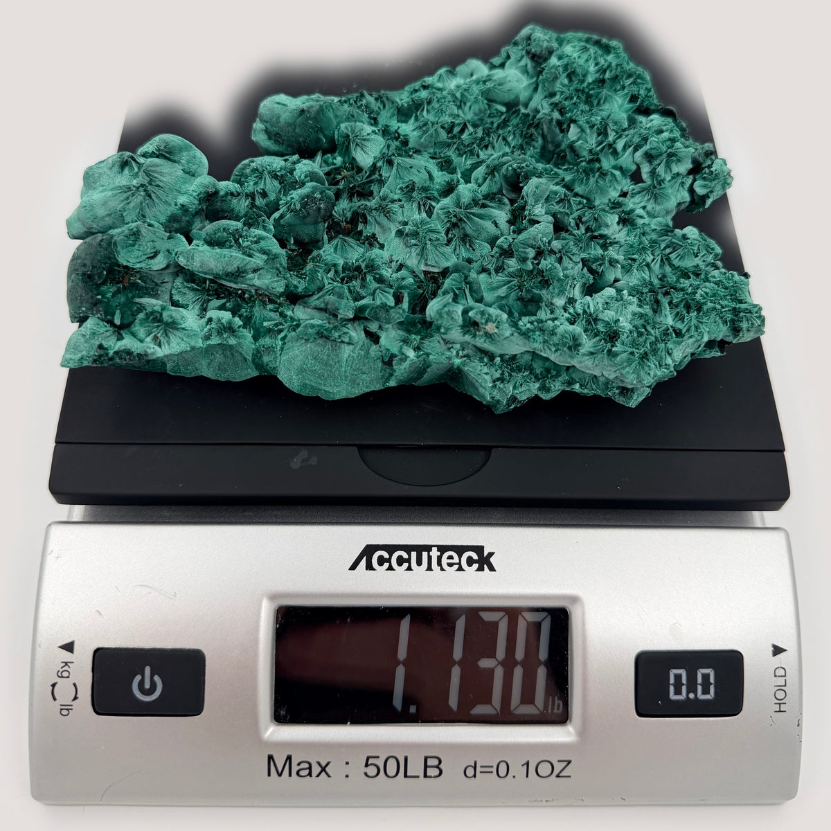 10-scale.jpg