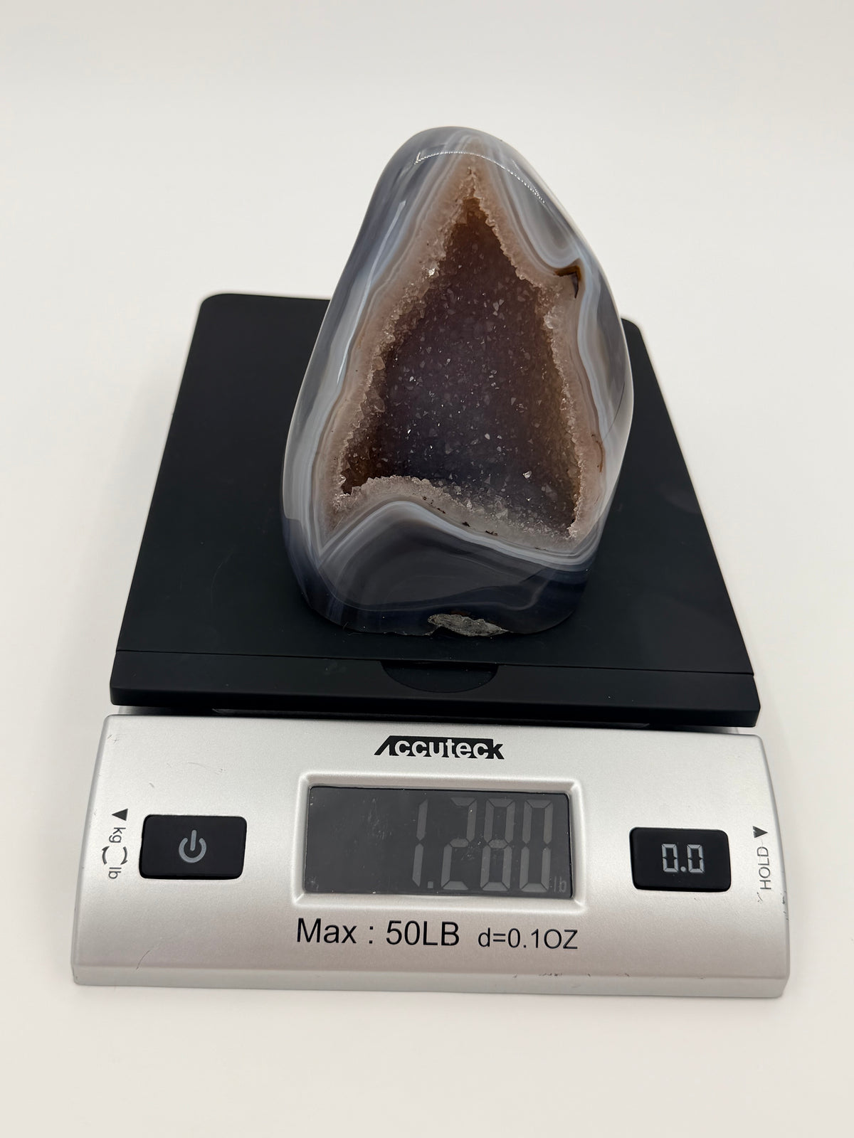 10-scale.jpg