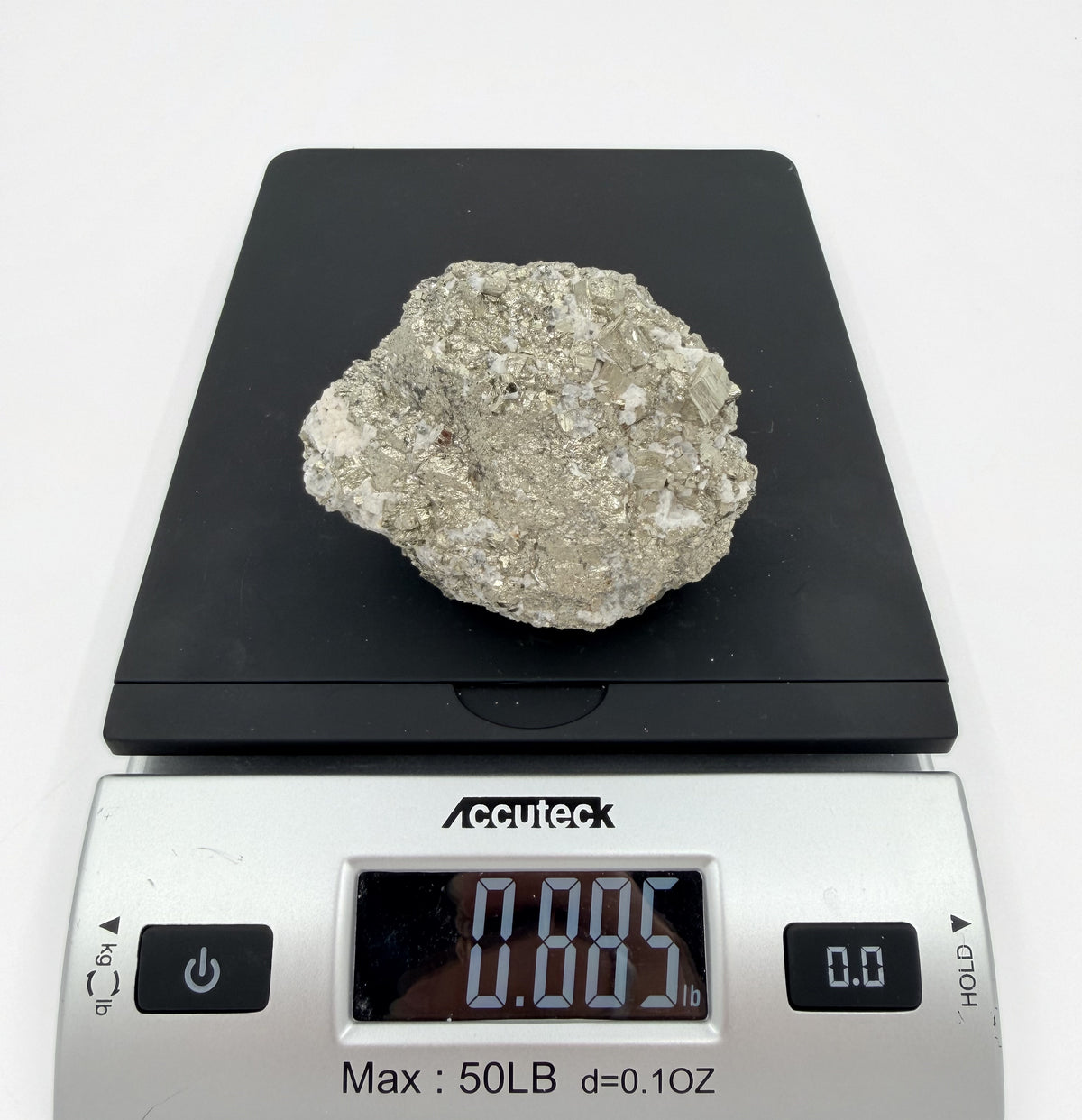 10-scale.jpg