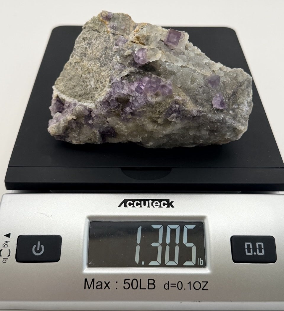 11-scale-as-shot.jpg