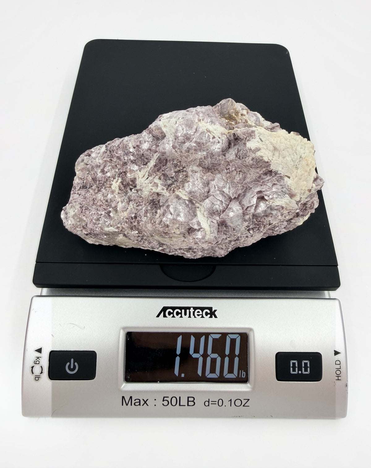 11-scale-r3.jpg