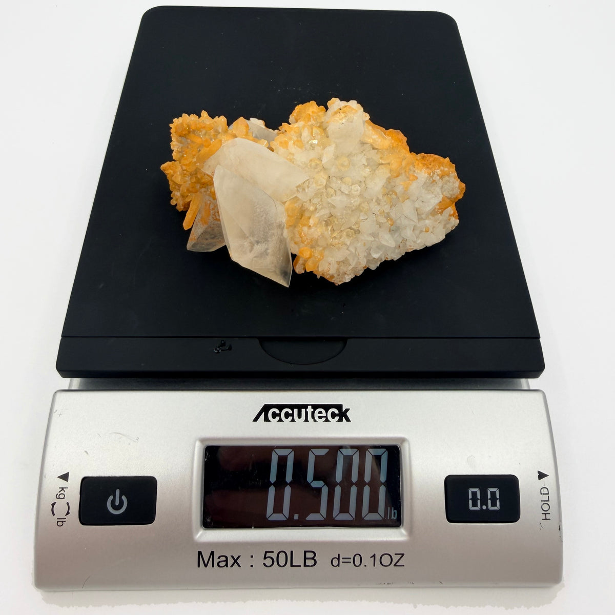 12-scale.jpg