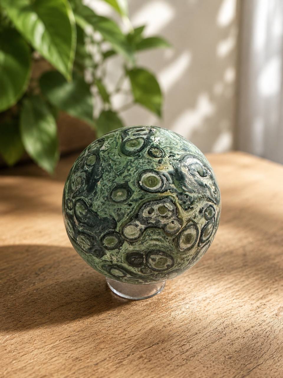 Kambaba Jasper sphere with stromatolite eye patterns on wooden table with plant