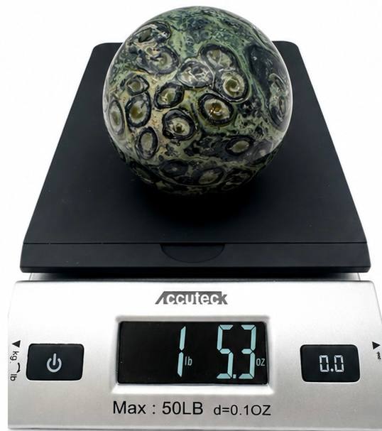 Kambaba Jasper sphere on scale showing 1 lb 5.3 oz weight