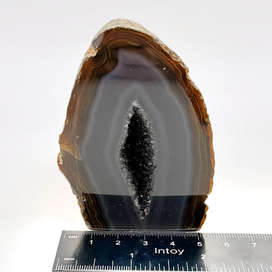 Polished face of the agate geode with its druzy quartz pocket
