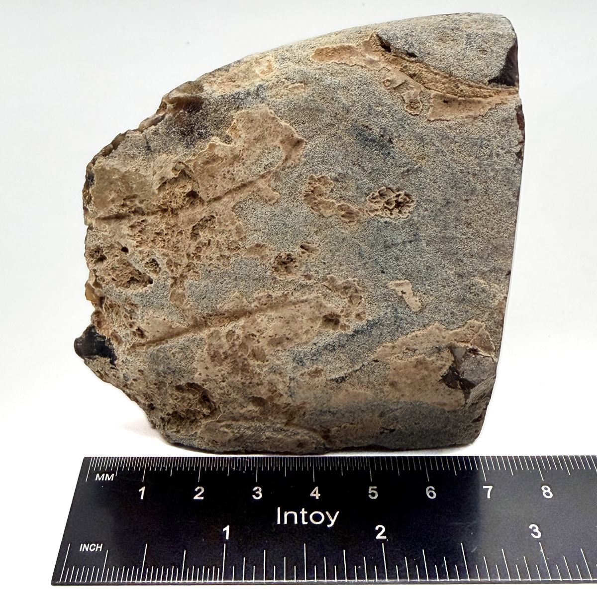 Raw natural rind on the back of the agate geode