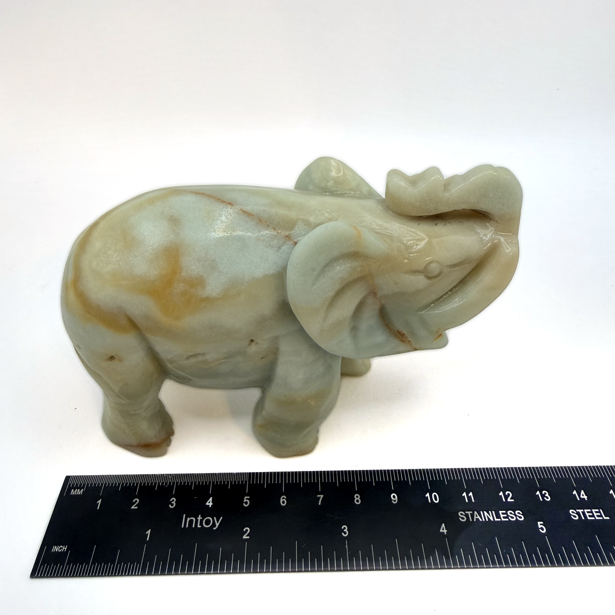 Elephant beside a ruler showing 5 inches long