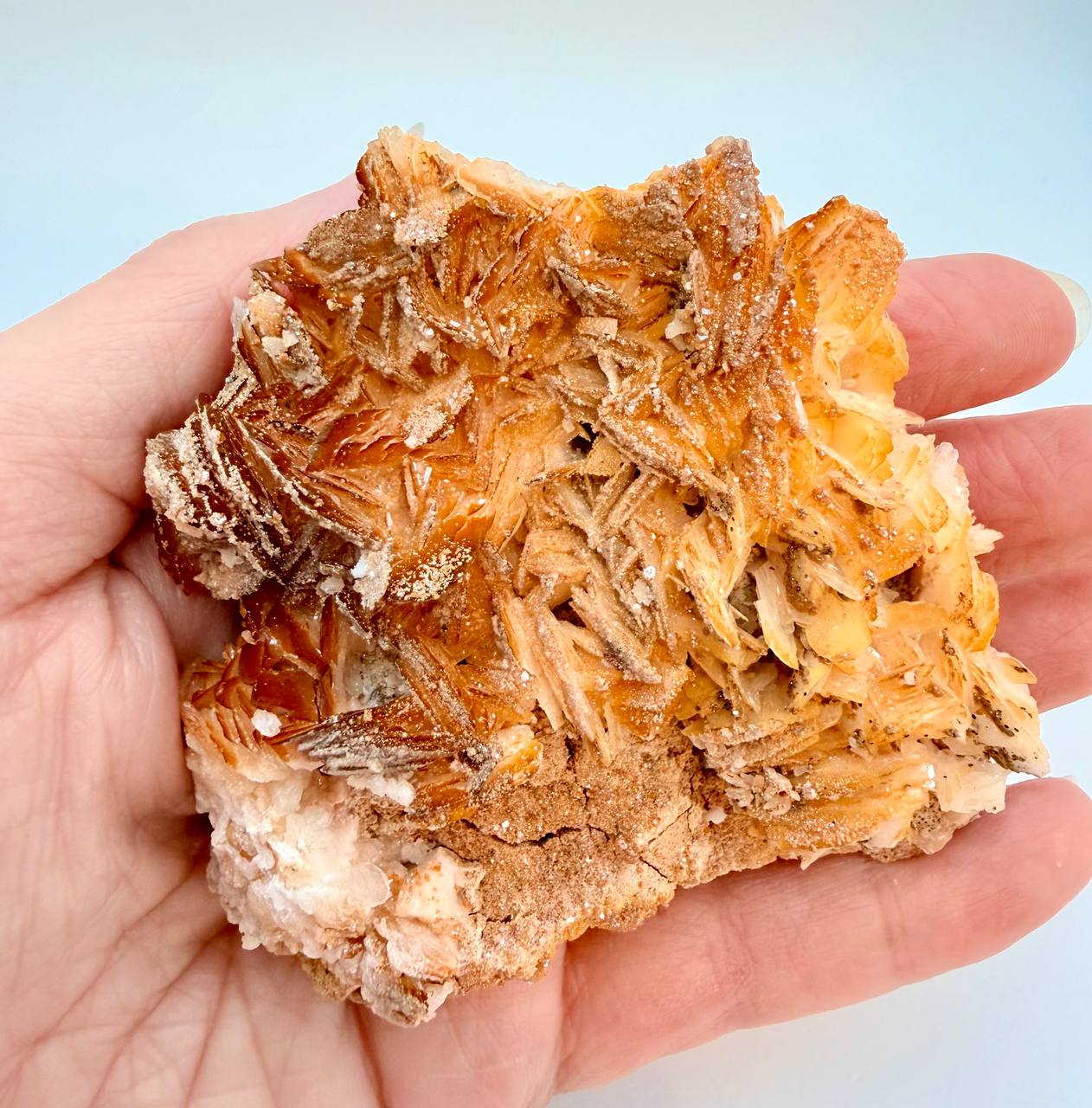 Vanadinite on barite held in hand showing scale