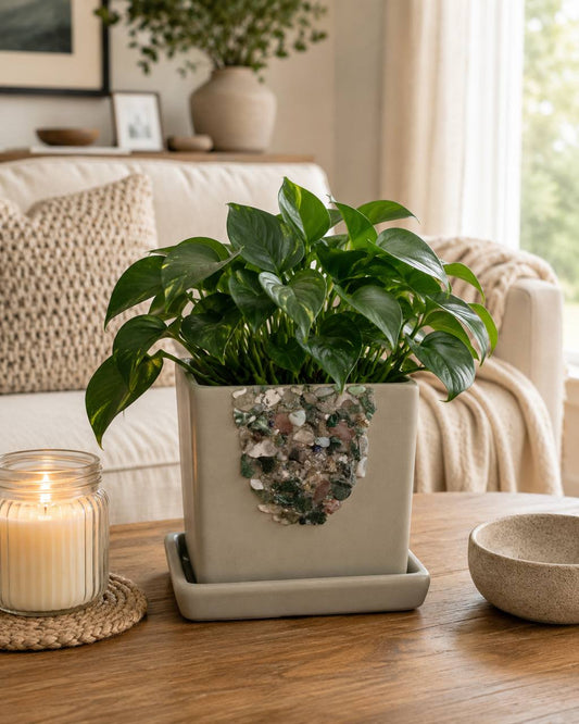 Moss agate planter with pothos on coffee table