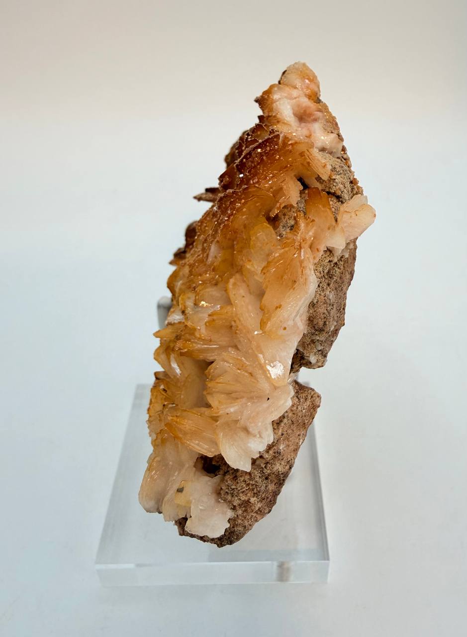 Side view showing barite blades and natural matrix