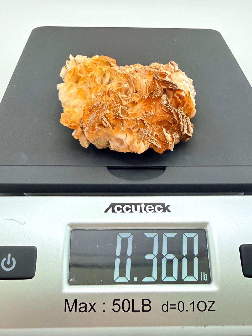 Weight on scale 0.36 pound