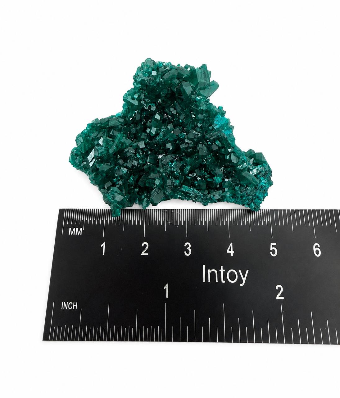 Dioptase crystal cluster front with ruler showing 1.5 x 2 inches