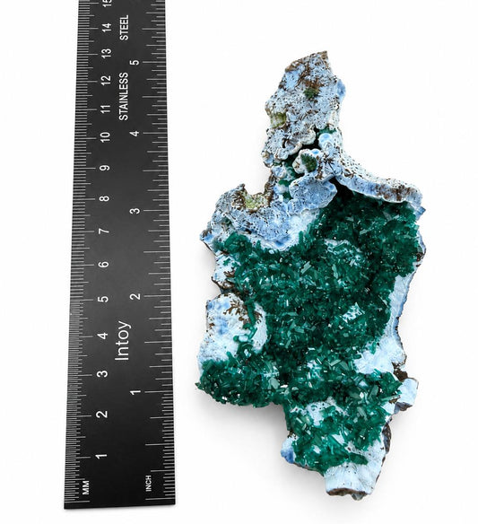 Dioptase plate with ruler showing 5 inch height