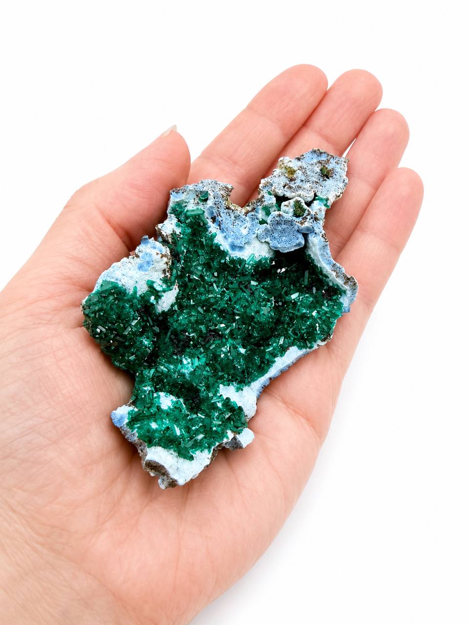 Dioptase plate in hand showing scale and crystal coverage