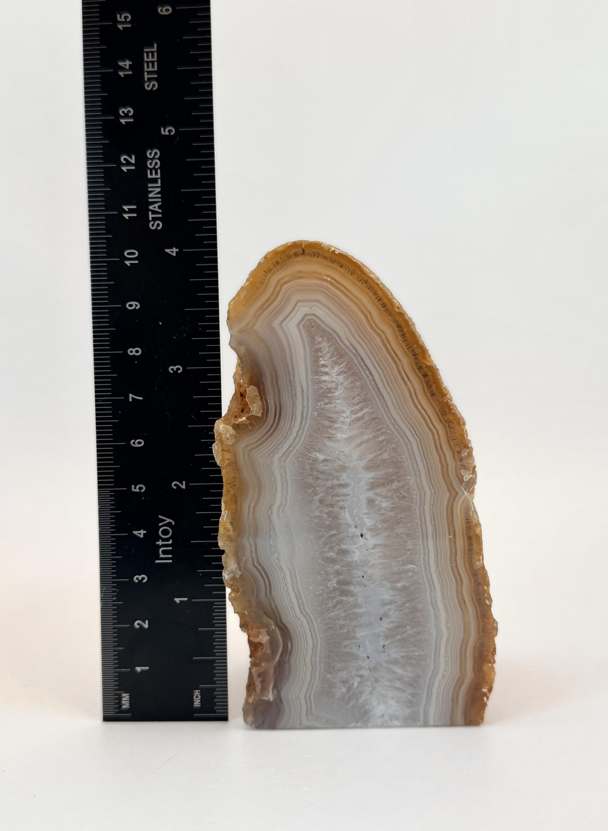IMG_8208-ruler-height.jpg