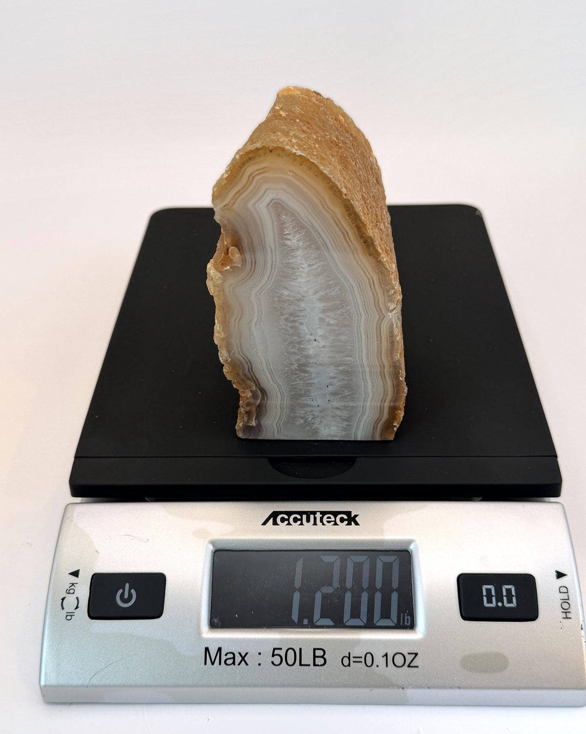IMG_8211-weight.jpg