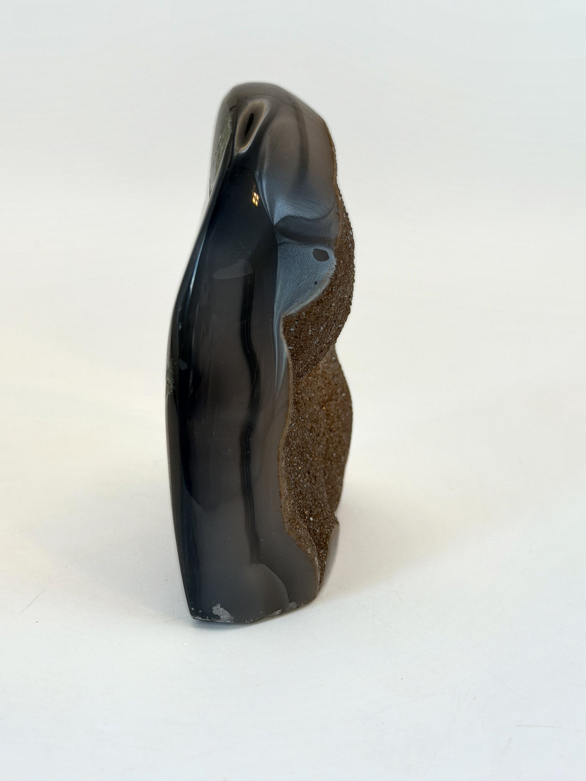 IMG_8246.jpg