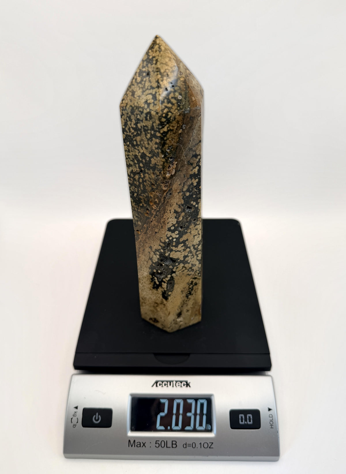 IMG_8311-scale.jpg