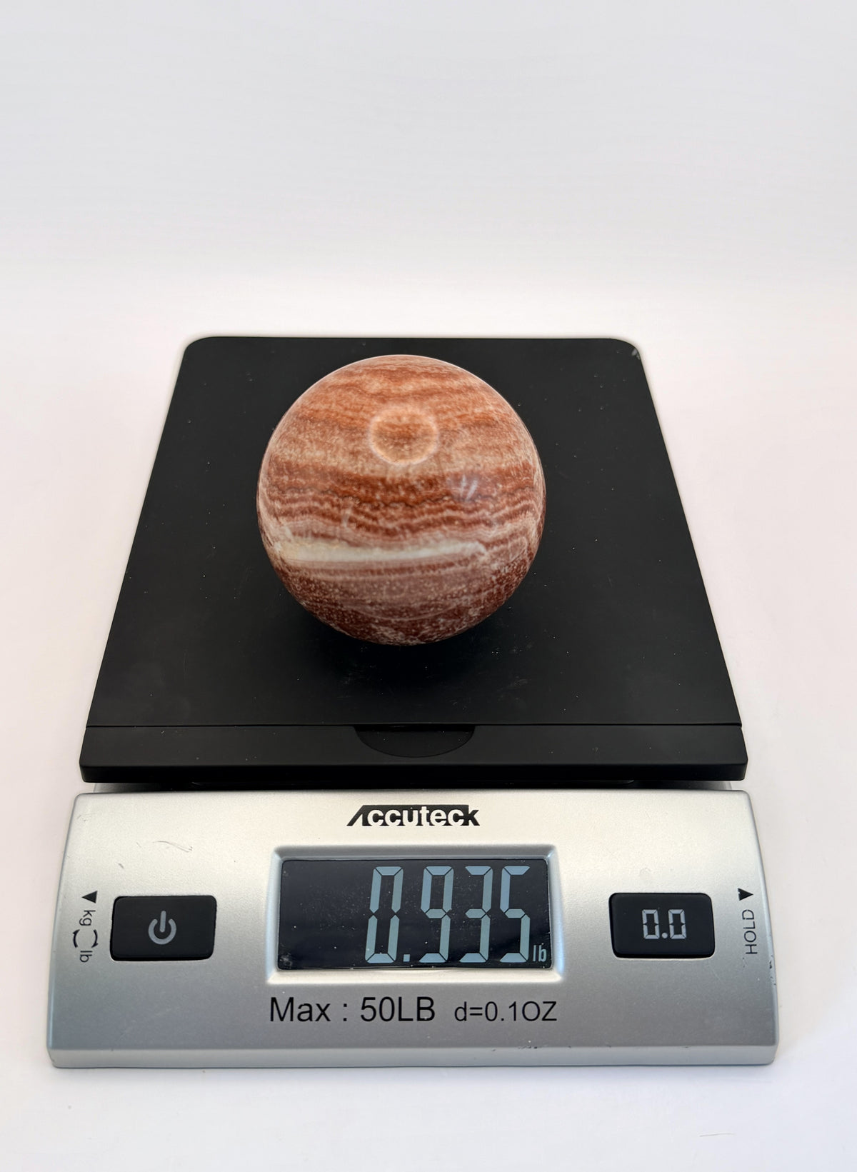 IMG_8323-scale.jpg