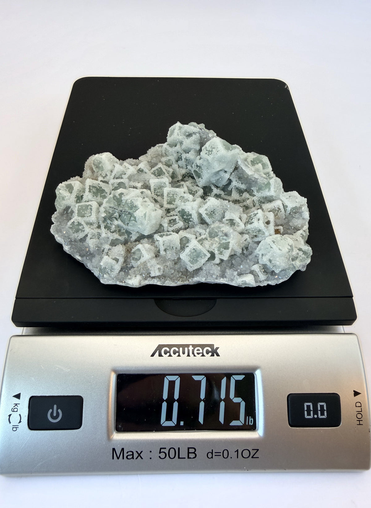 IMG_8352-scale.jpg