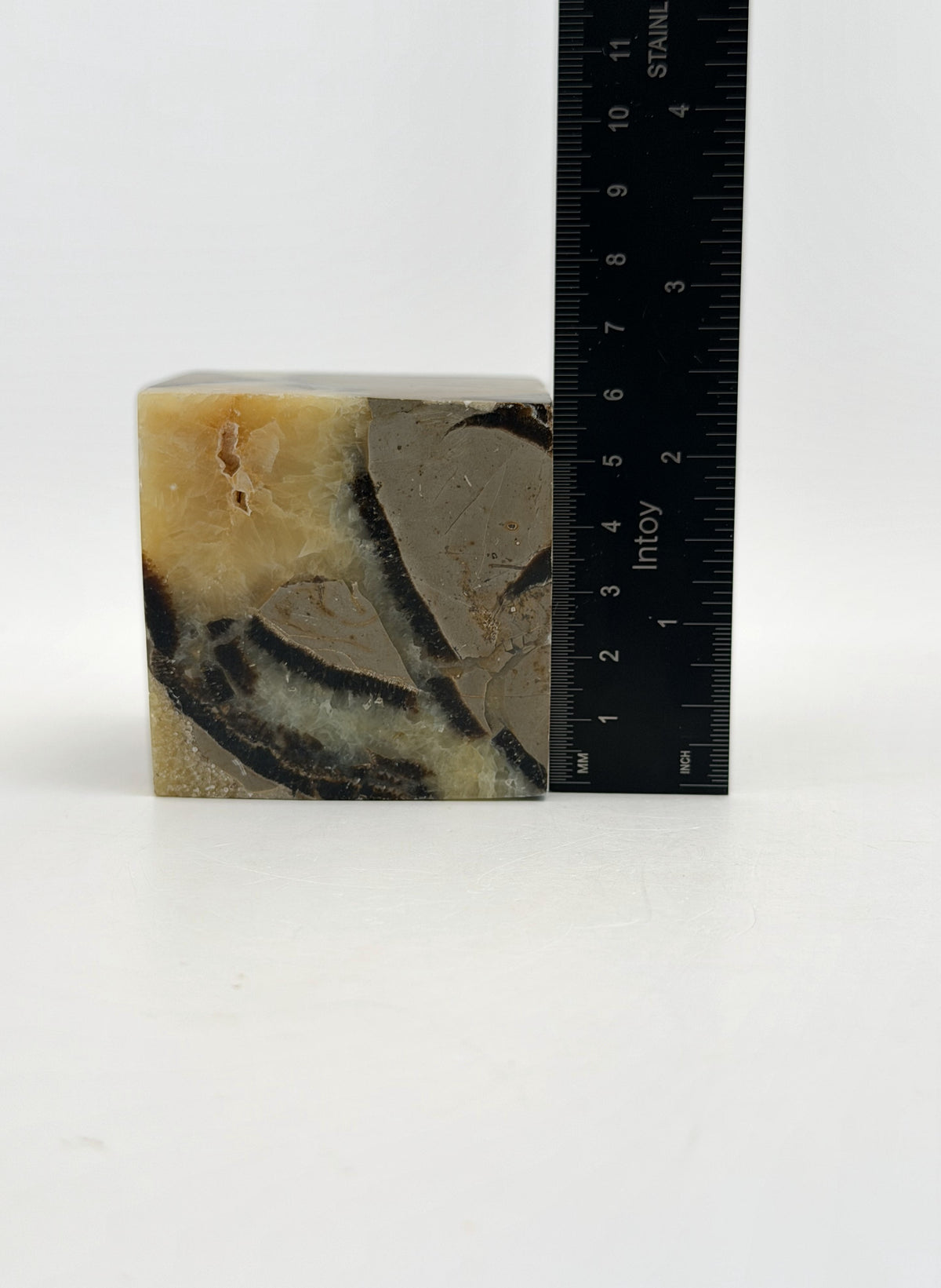 IMG_8369-ruler.jpg
