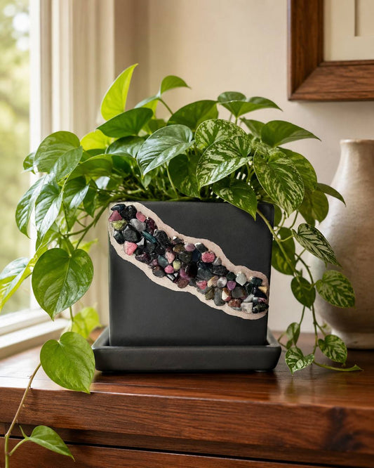 Tourmaline crystal planter lifestyle with pothos plant on wood table
