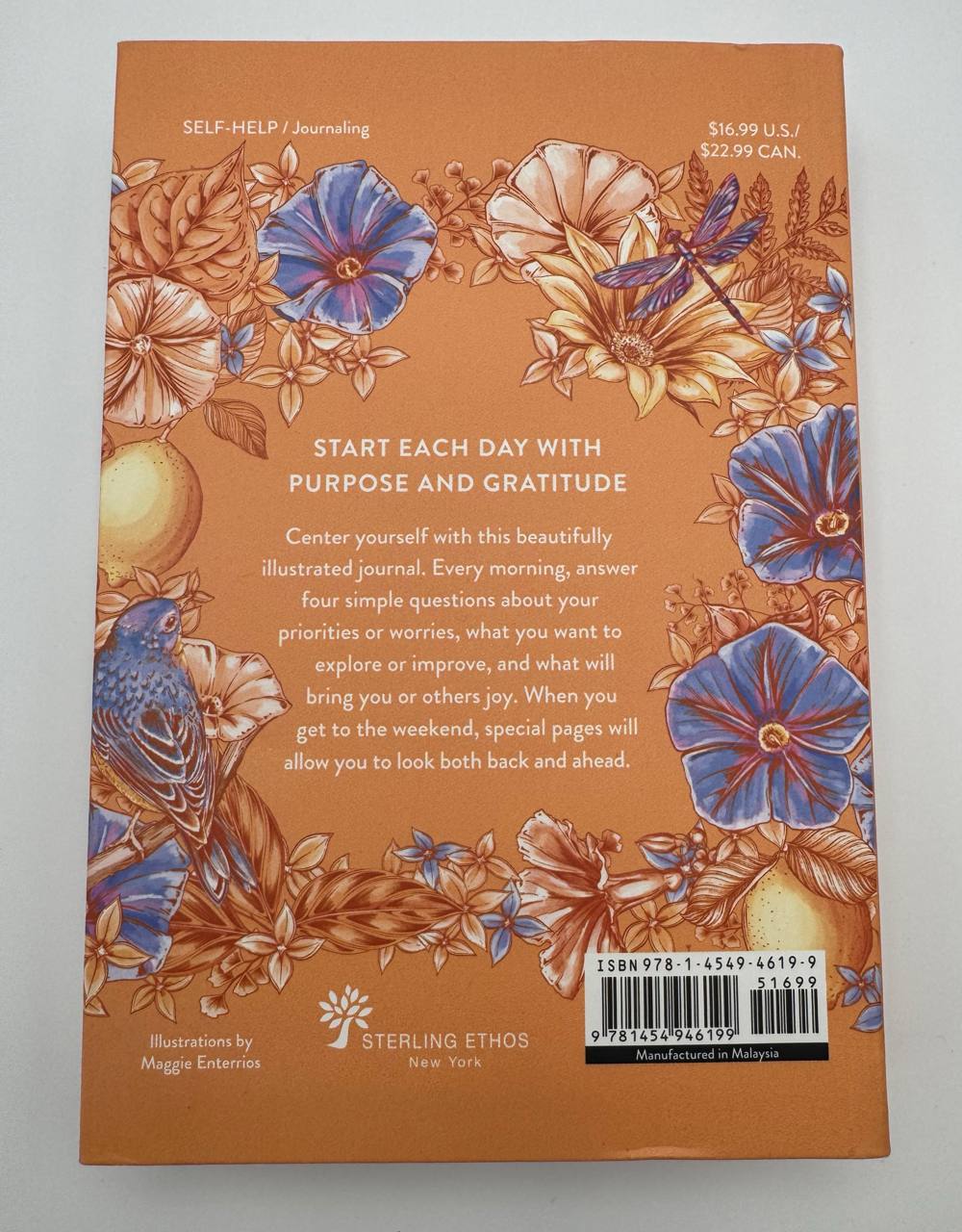 The Morning Journal - back cover