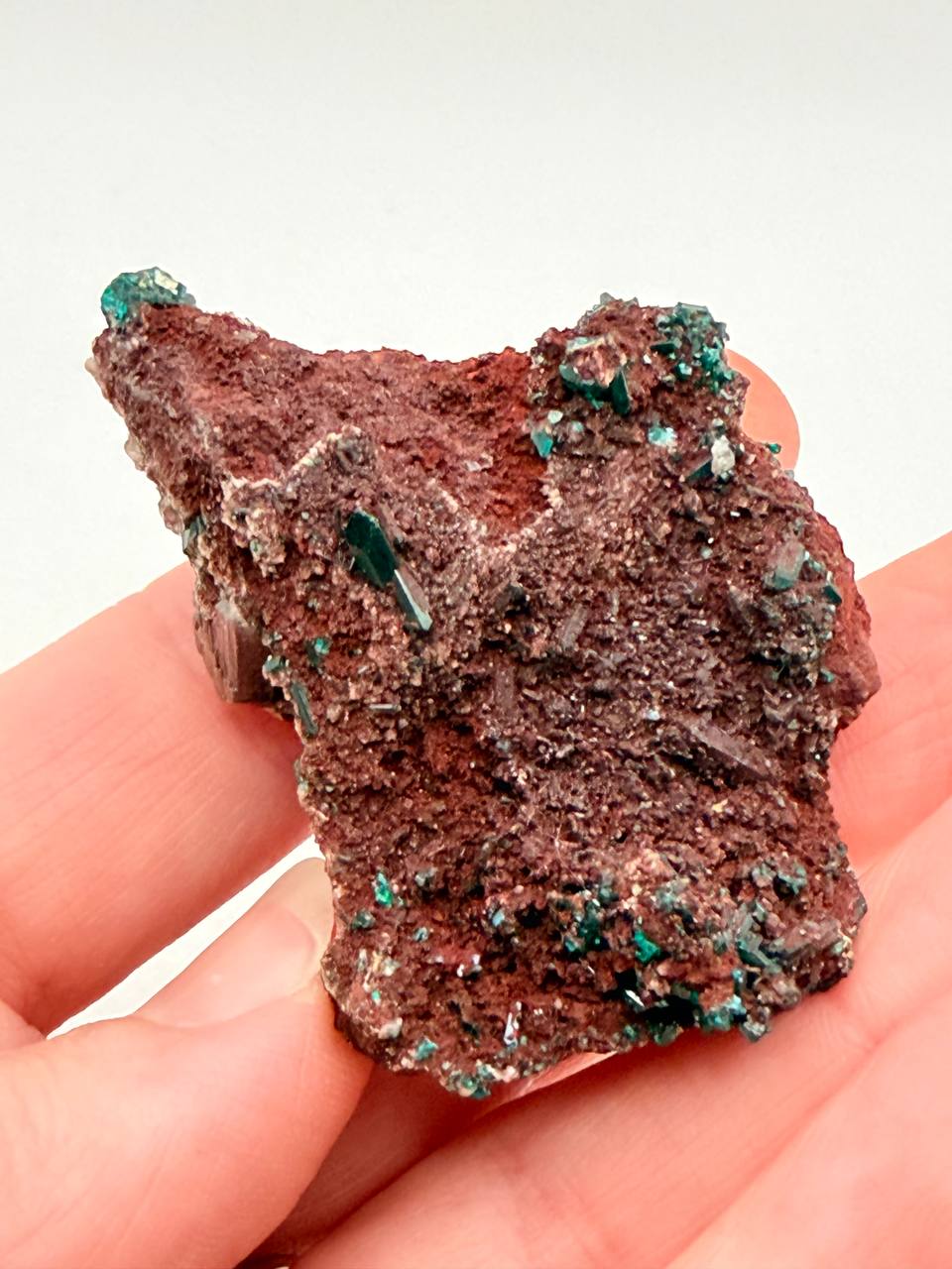 Dioptase Crystal with Cerussite on Matrix — Rare Collector Mineral Specimen from Congo