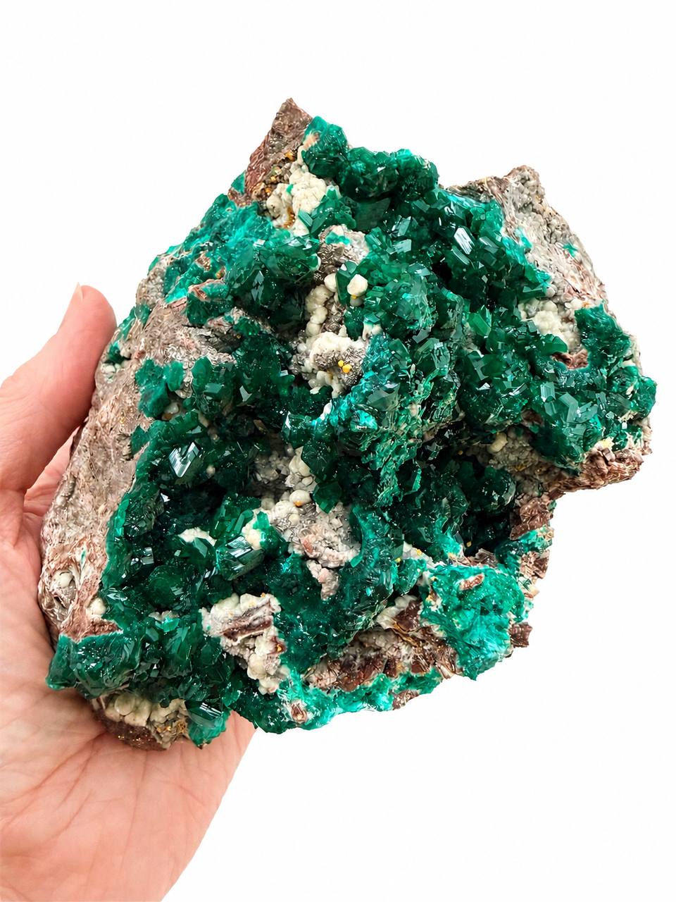 Large dioptase crystal specimen hand held showing crystal face