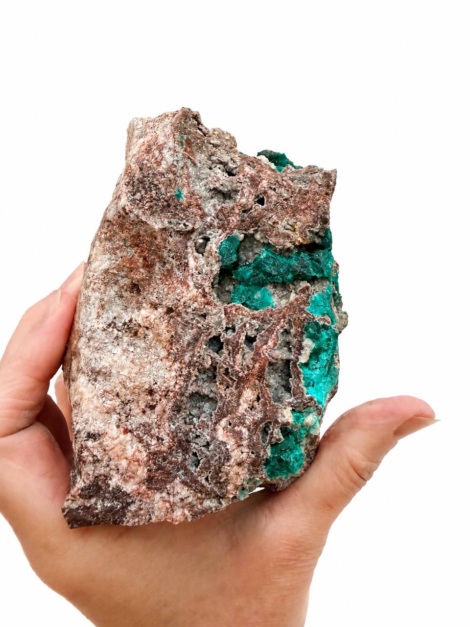 Dioptase specimen back view showing matrix and crystal pockets