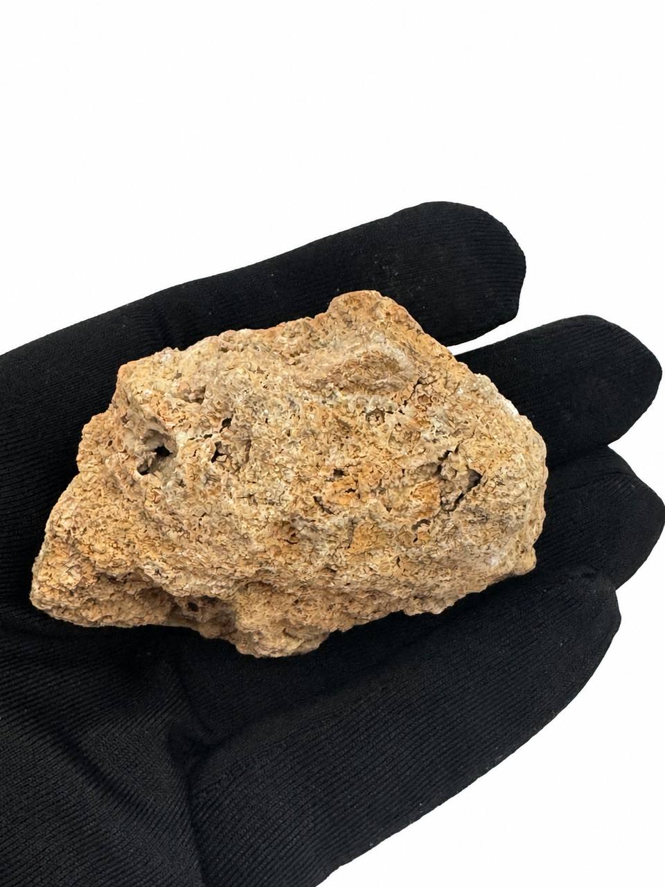 Mimetite specimen back matrix view in gloved hand