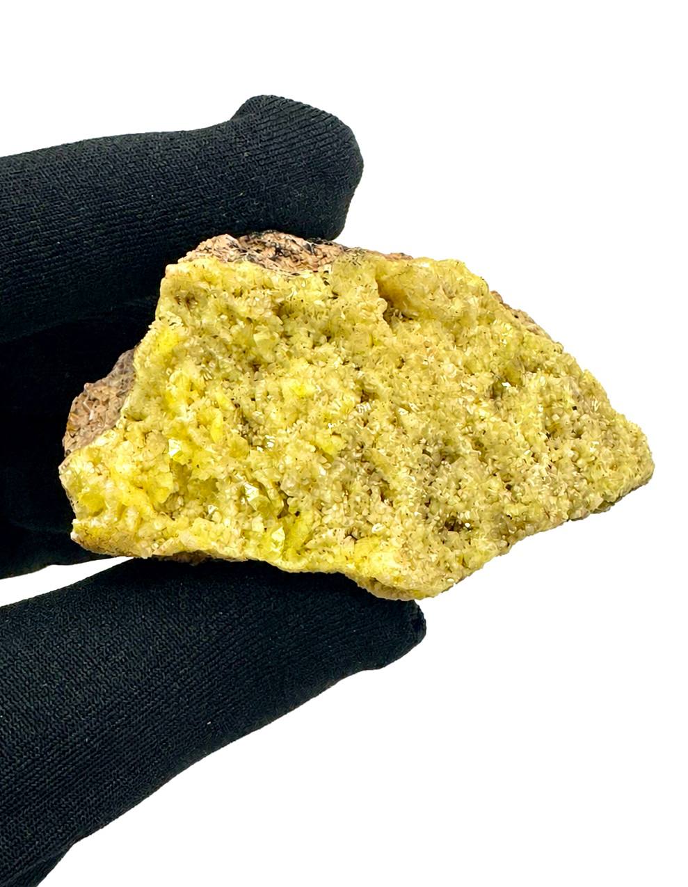 Yellow mimetite crystals held in gloved hand showing front face