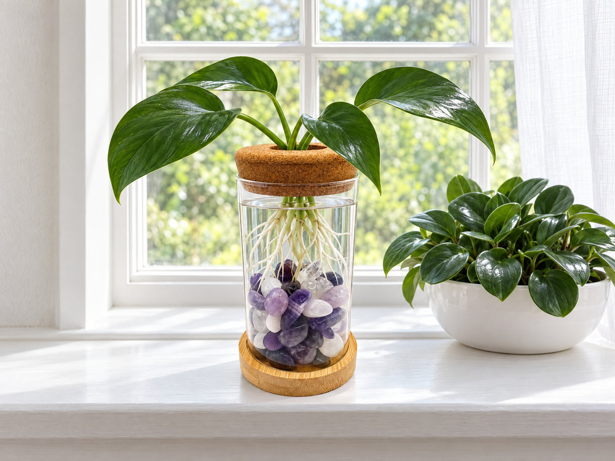 Crystal Plant Propagation Station — Amethyst & Quartz