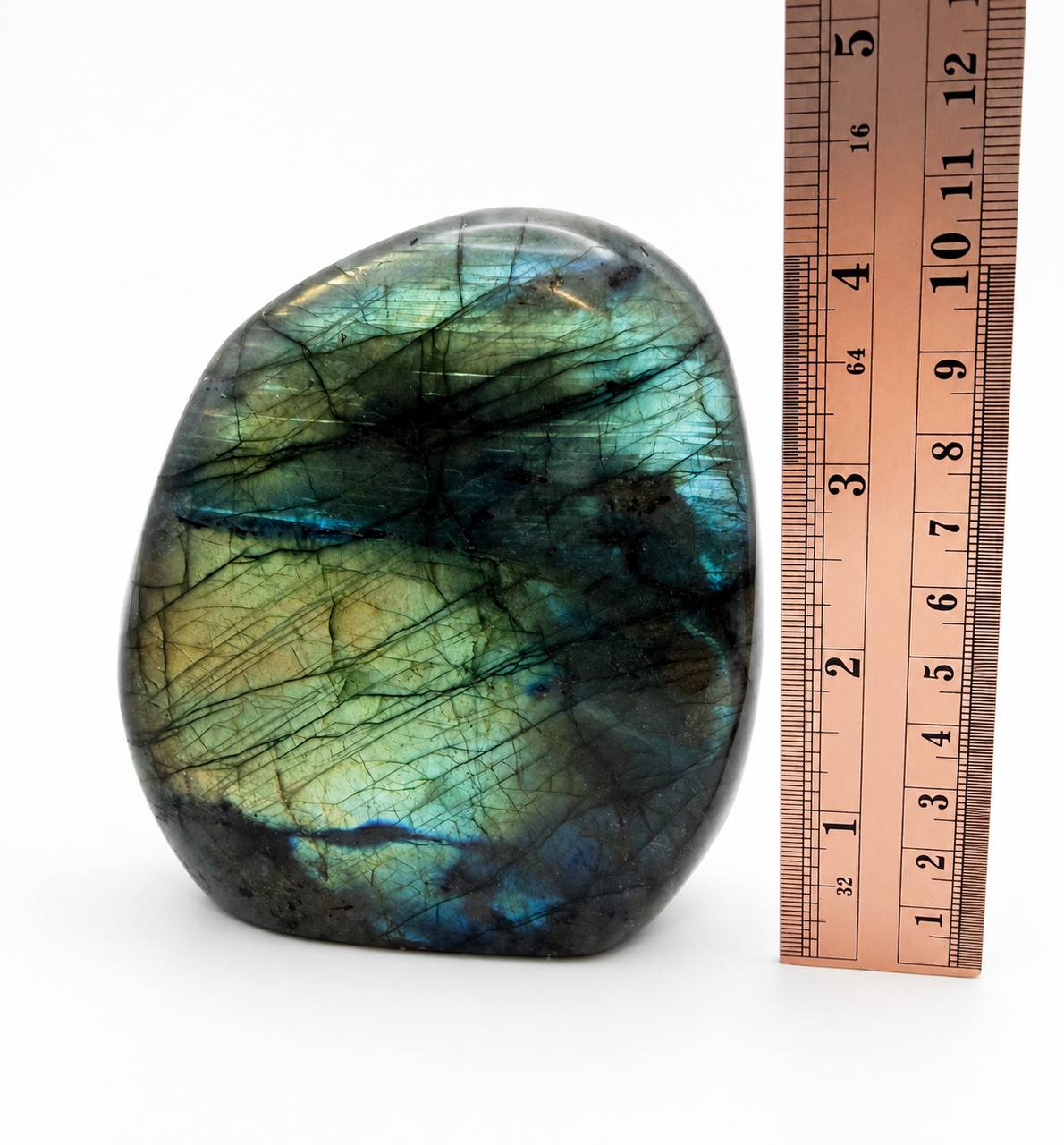 Labradorite freeform with ruler showing 4 inch height