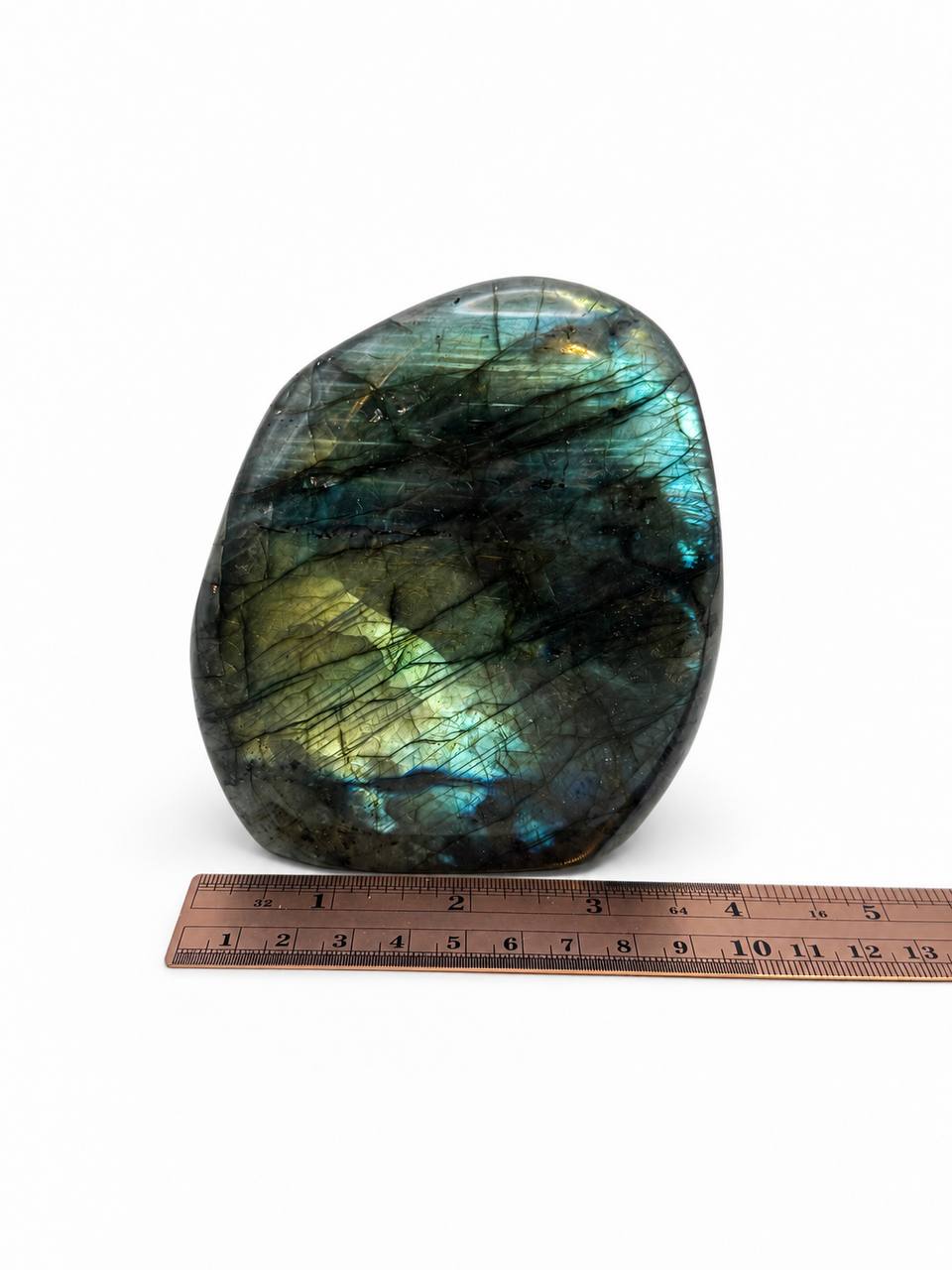 Labradorite freeform with ruler showing 4 inch width